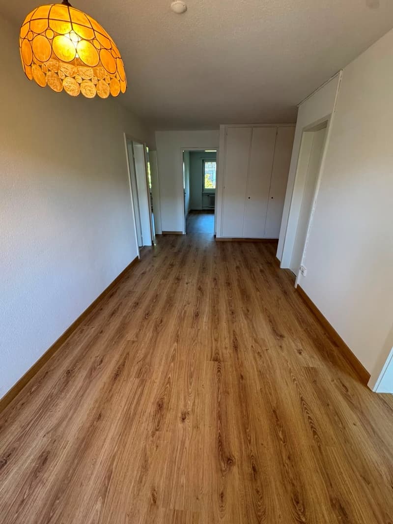 Wohnung mit herrlichem grünen Umschwung ! (3)
