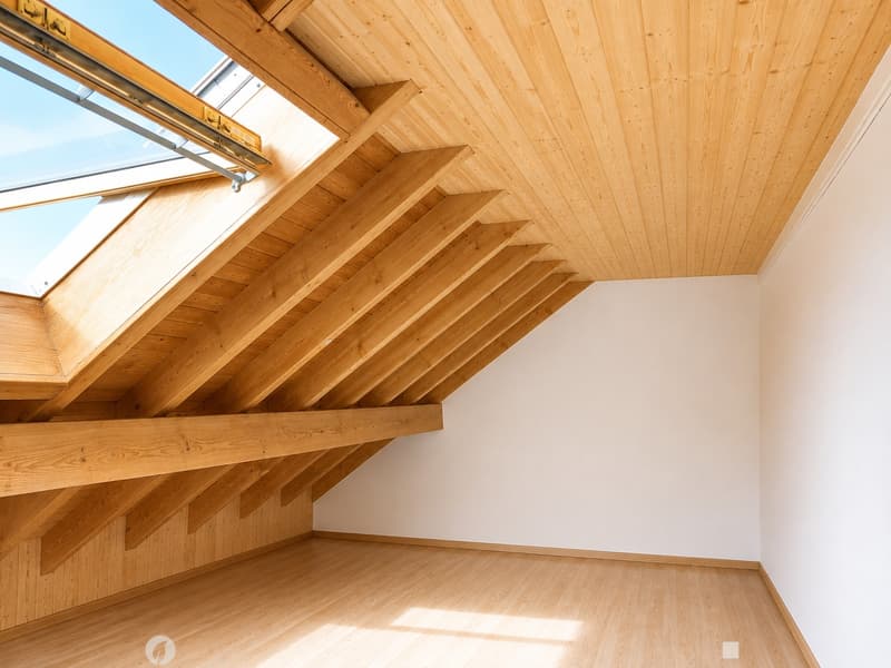Tolle Maisonette-Wohnung mit Cheminée - ideale Lage ! (6)