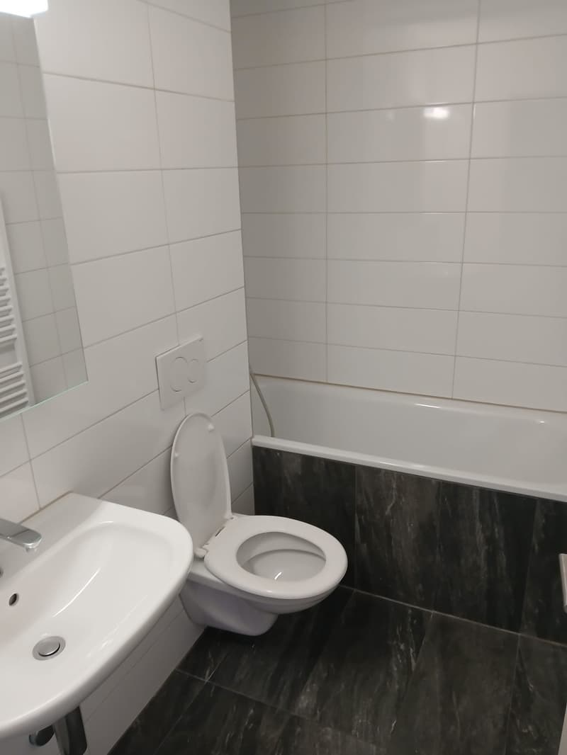 Charmante 3.5-Zimmerwohnung in Liestal (11)