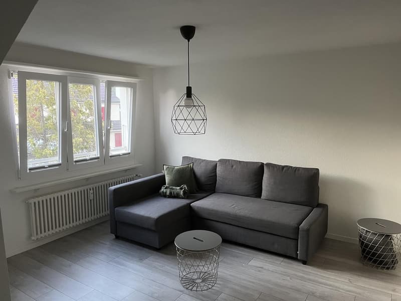 Charmante 2.5-Zimmerwohnung in Liestal (3)