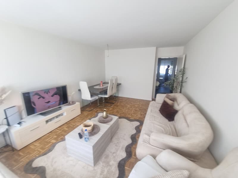 Schöne renovierte 3-Zimmerwohnung mit Balkon und Gartensicht in Roggwil (3)