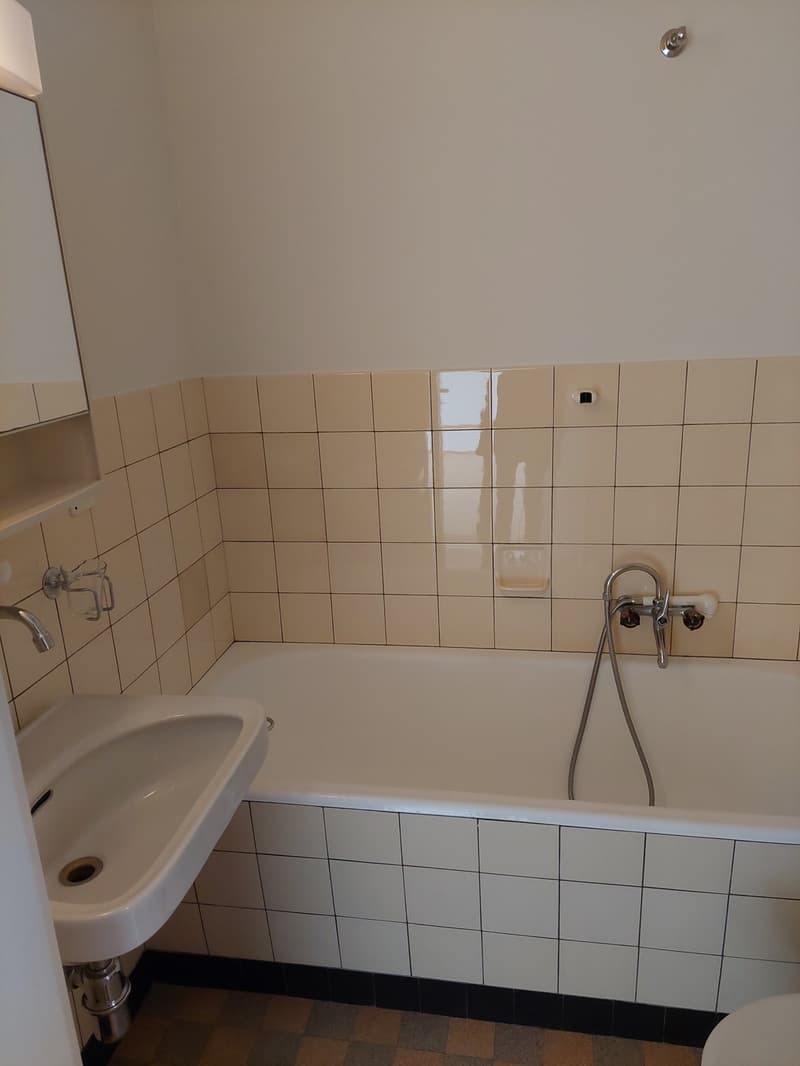 Ideale 1 Zimmerwohnung für Singles oder Paare (6)