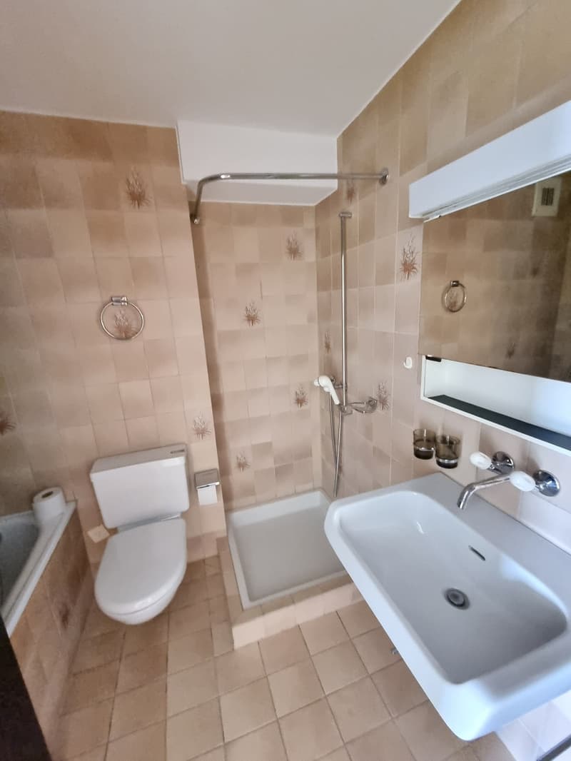 Schöne Wohnung in Biberist! (6)