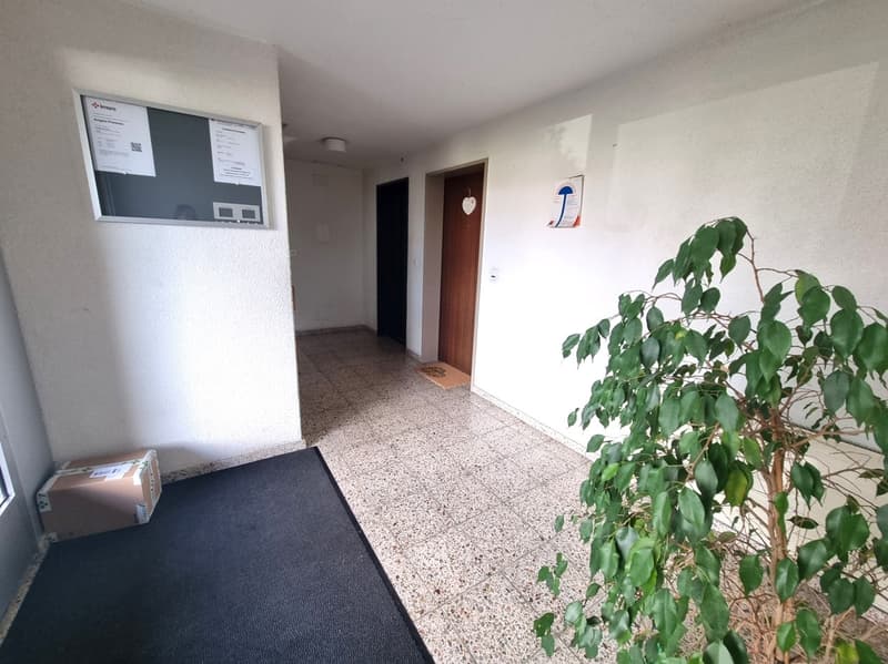 MFH in Rheineck mit Baubewilligung für 6 zusätzliche Wohnungen (5)