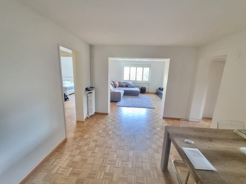 Zuhause im Herzen von Zürich! (2)