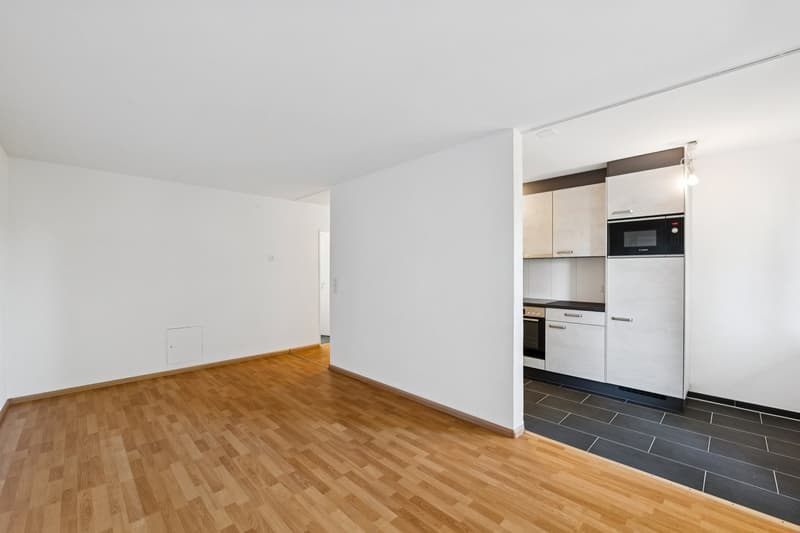 Renovierte 2.5 Zimmerwohnung (2)