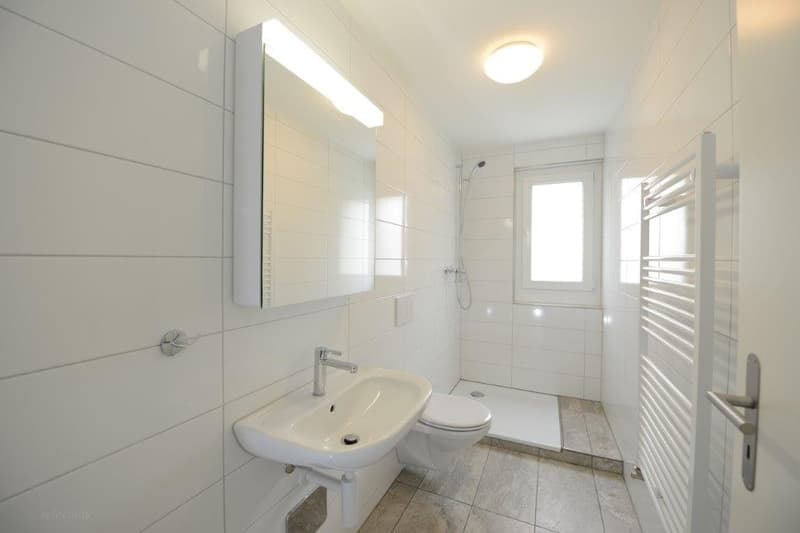 Traumhafte Neu renovierte Wohnungen mit Gartensitzplatz (4)