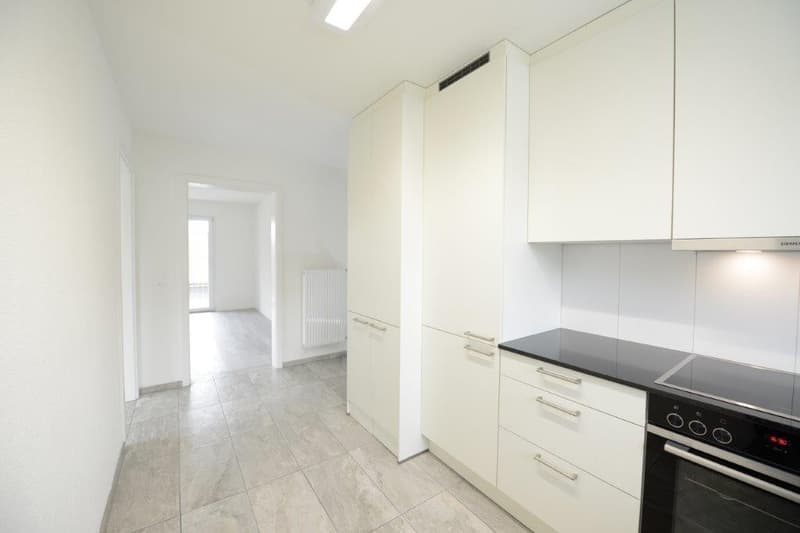 Traumhafte Neu renovierte Wohnungen mit Gartensitzplatz (5)