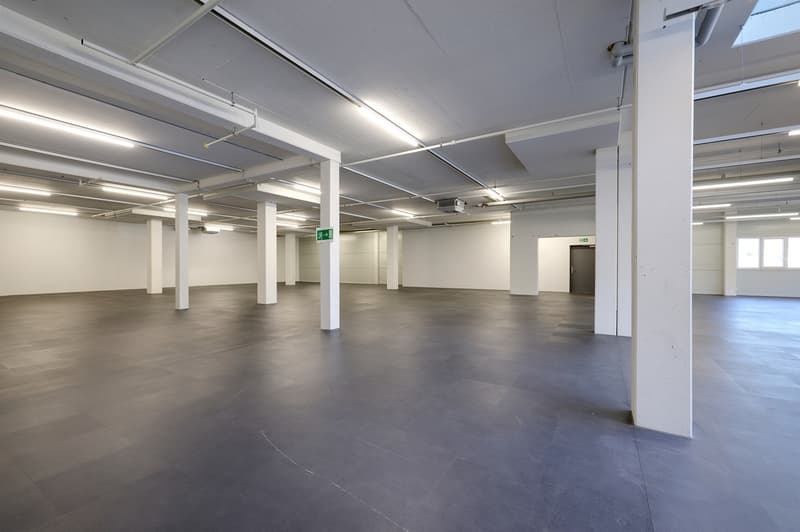 Dienstleistung/Produktion mit Aussicht auf Schloss Thun / KEIN FITNESSCENTER (12)