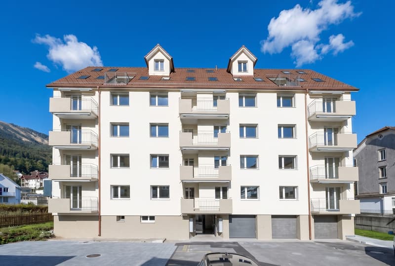 Attraktive Neurenoviert Wohnungen (1)