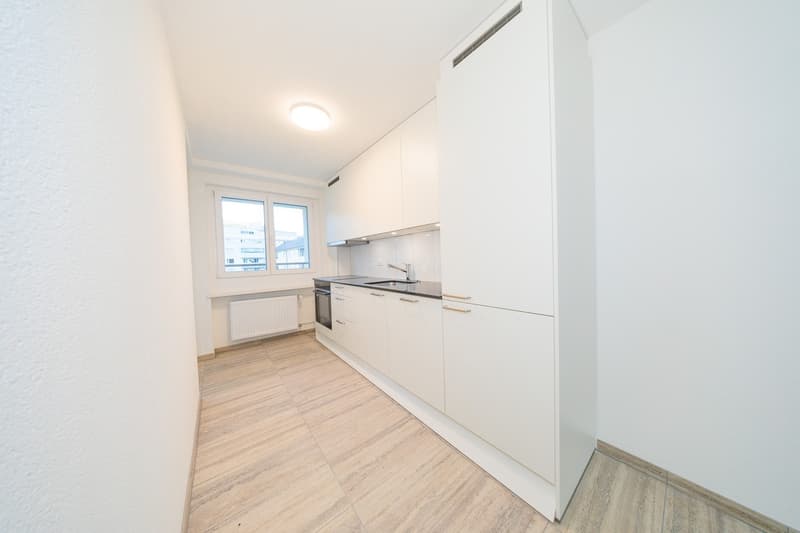 Attraktive Neurenoviert Wohnungen (7)