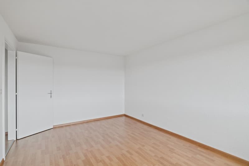 Jetzt einziehen - frisch renovierte Wohnung ruhig, grün und zentral (10)