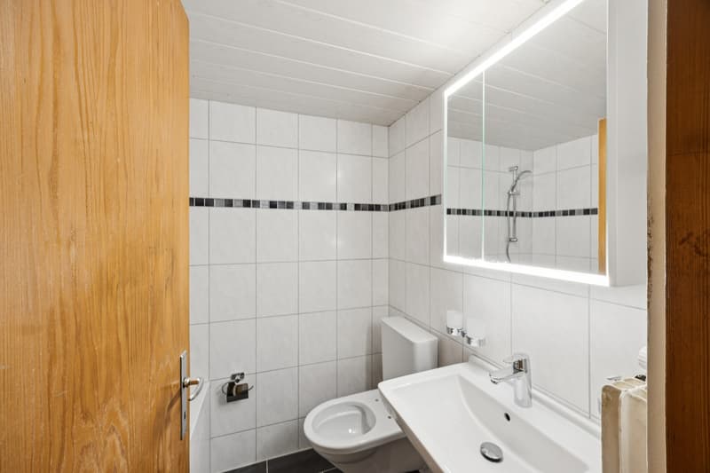 Total saniert - modern - zentral (6)