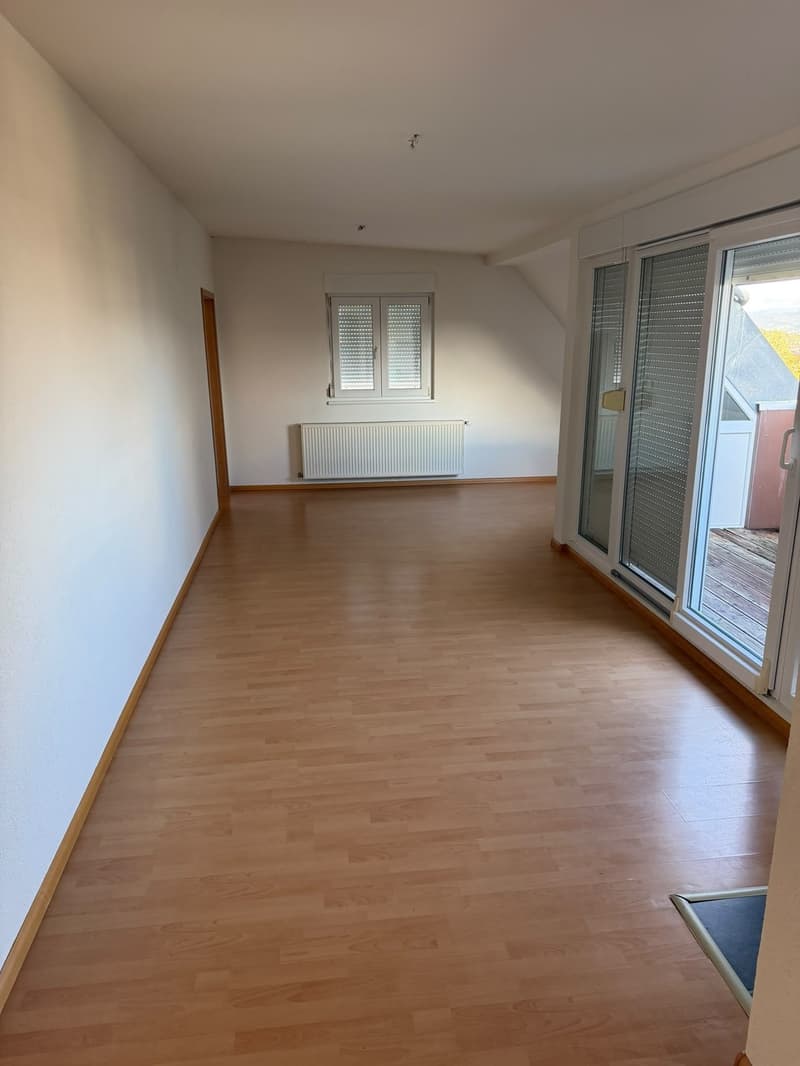 Traumhafte Dachwohnung mit atemberaubender Aussicht über Zürich! (2)