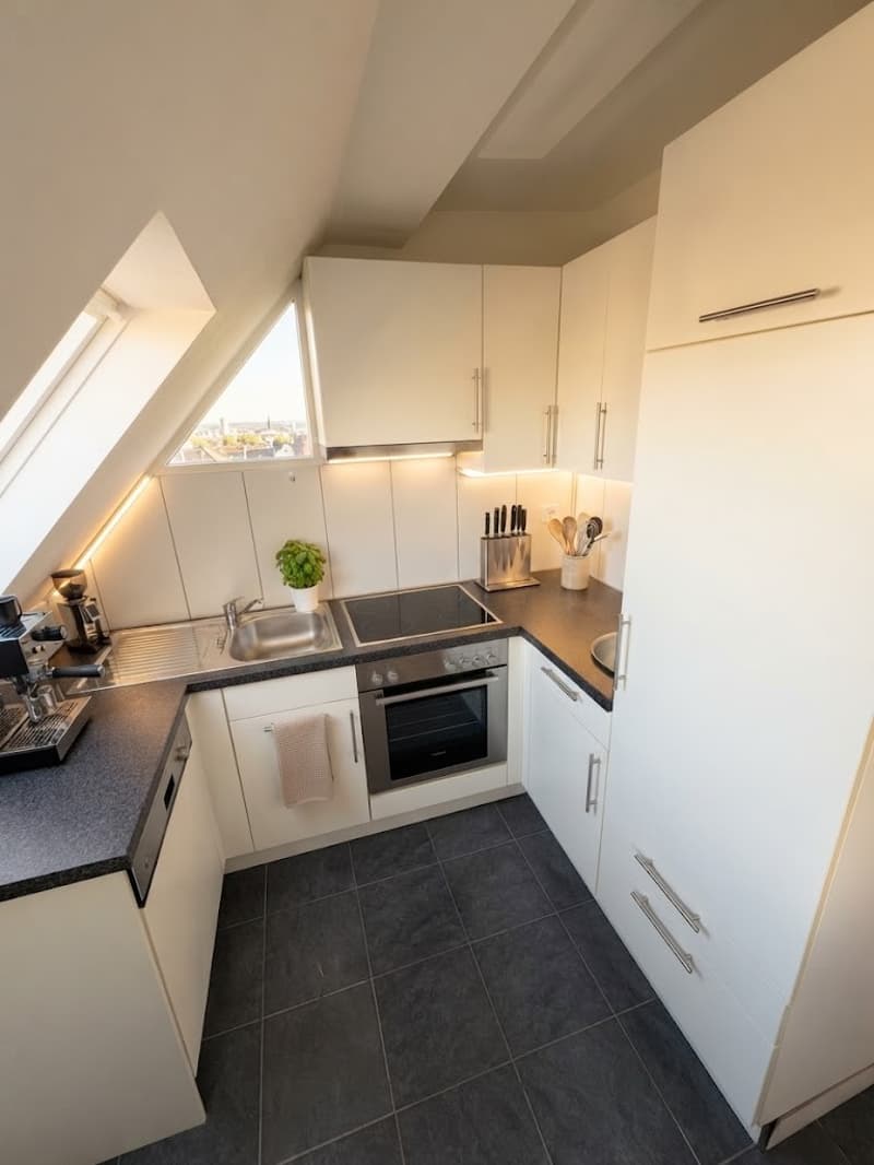 Traumhafte Dachwohnung mit atemberaubender Aussicht über Zürich! (6)