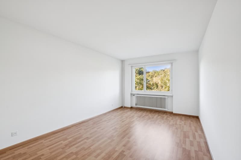 Renovierte Wohnung in Olten! (4)