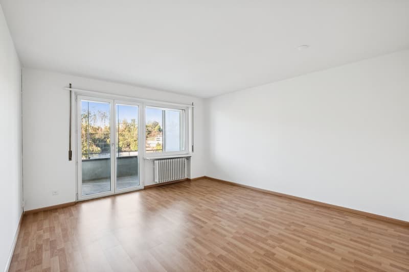 Renovierte Wohnung in Olten! (3)