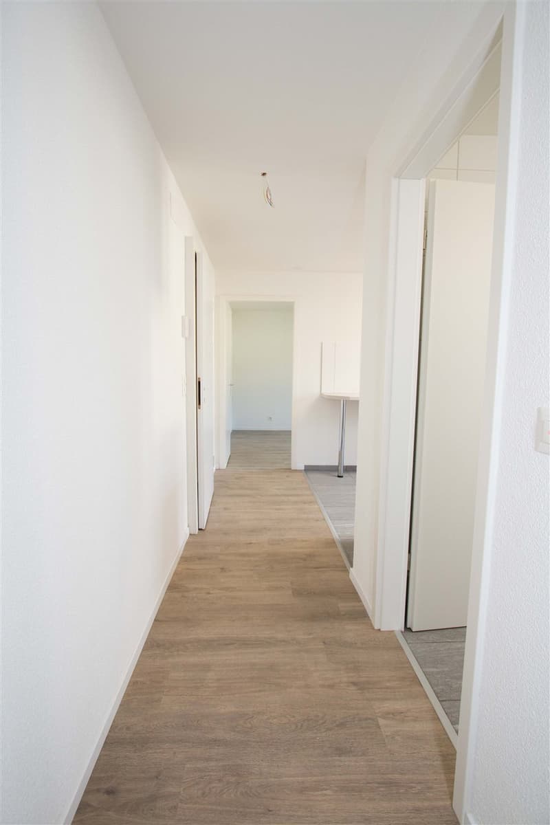 Charmante 2-Zimmer-Wohnung mit Balkon & Gartenmitbenutzung Reinac (3)