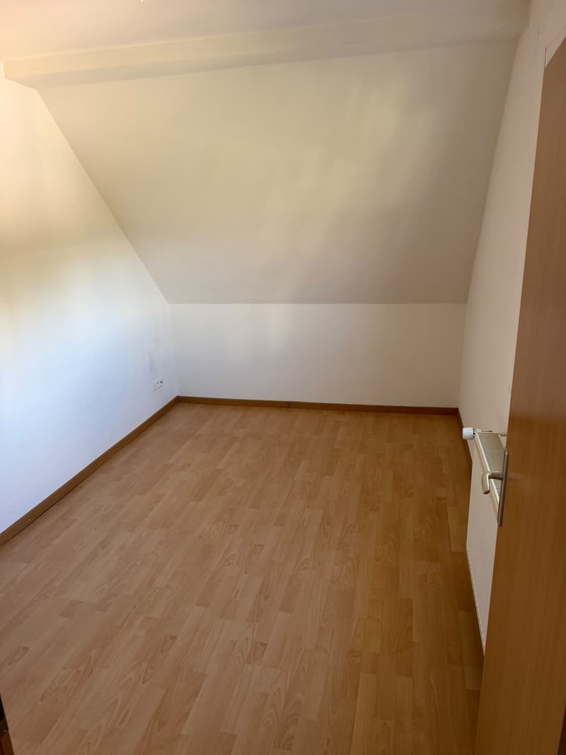 Traumhafte Dachwohnung mit atemberaubender Aussicht über Zürich! (5)