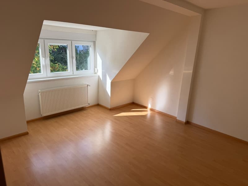 Traumhafte Dachwohnung mit atemberaubender Aussicht über Zürich! (4)
