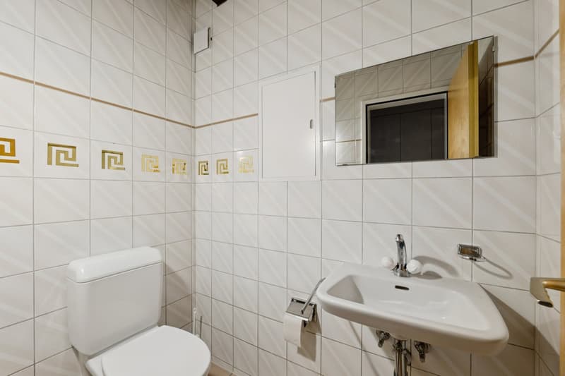 Tolle Maisonette-Wohnung mit Cheminée - ideale Lage ! (9)