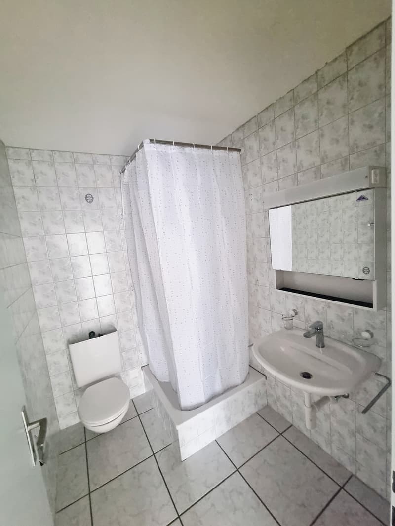 Grosszügig wohnen: 3.5 Zimmer auf 146 m² in Seenähe! (7)