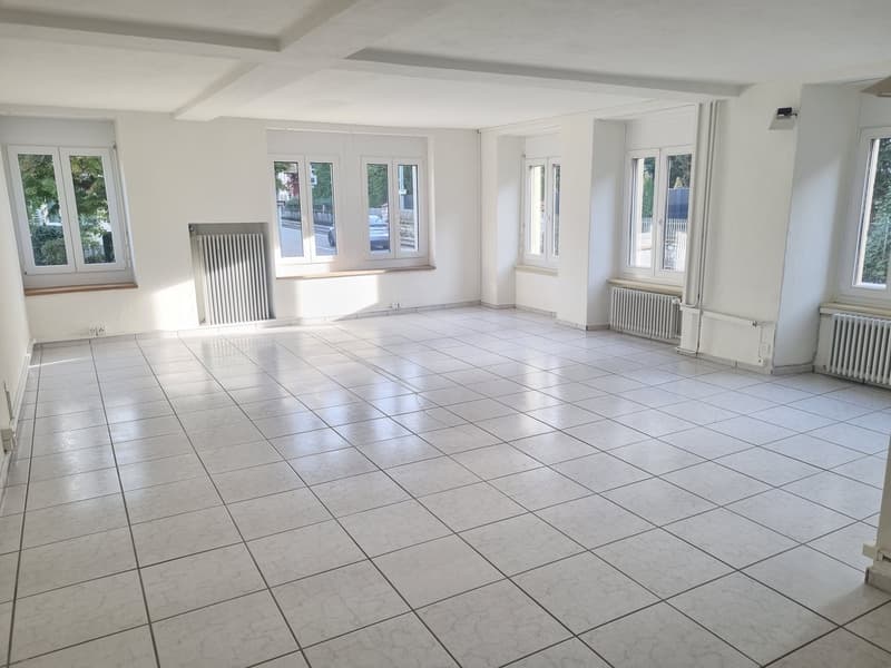 Grosszügig wohnen: 3.5 Zimmer auf 146 m² in Seenähe! (2)