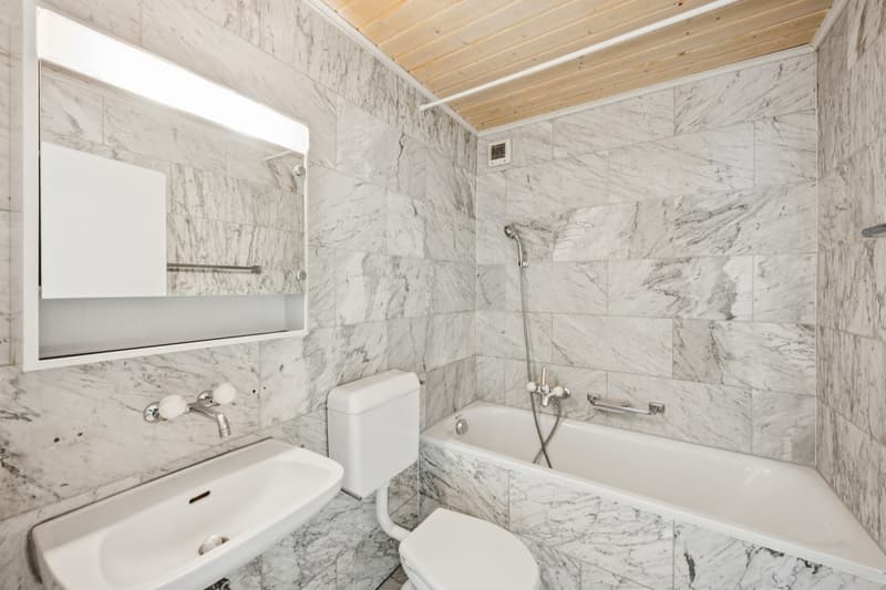 Première location après rénovation de la cuisine (6)