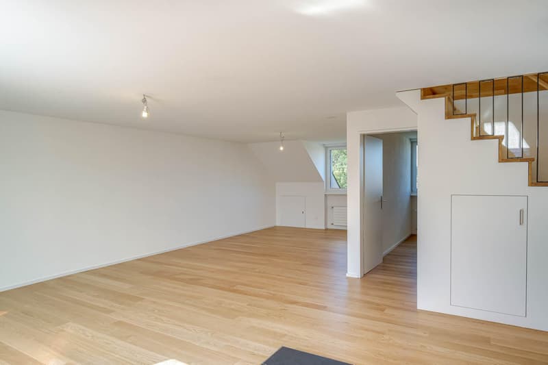 Einzigartige Maisonette im Guggeien (2)