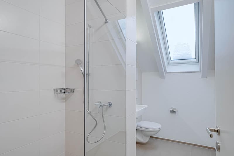 Besondere Dachwohnung mit Cheminée und hochwertigem Ausbau (10)