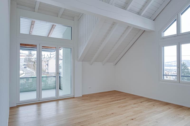 Besondere Dachwohnung mit Cheminée und hochwertigem Ausbau (4)