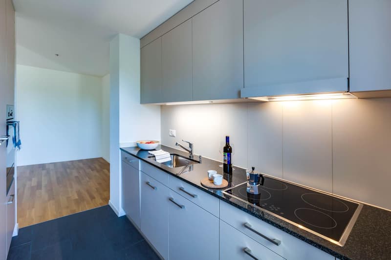 Moderne 4½-Zimmerwohnung mit Balkon und Abendsonne (3)
