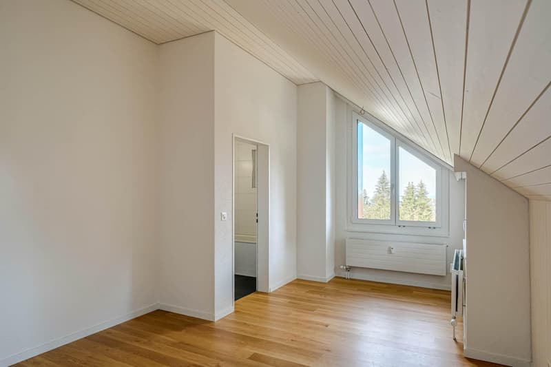 Grosszügige Dachwohnung - Toplage im Riethüsli (7)