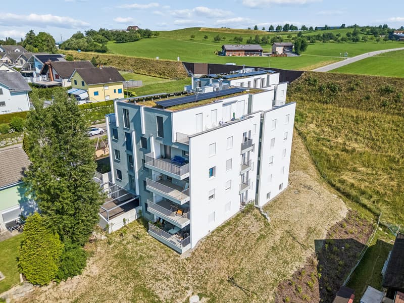 Vielseitiger Neubau-Disponibelraum in Gossau SG - mit Tageslicht (1)