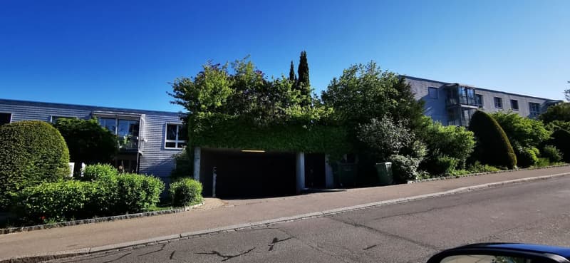Freie Garagenparkplätze in Wollishofen (2)