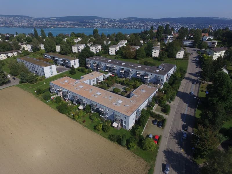 Freie Garagenparkplätze in Wollishofen (1)
