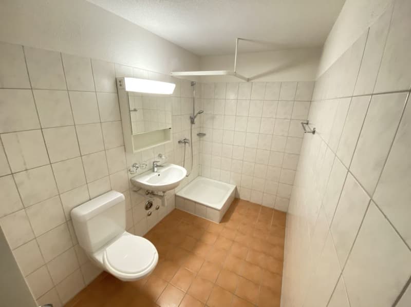 Sonnige und ruhige Wohnung mit eigenem Waschturm (10)