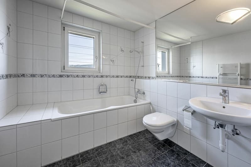 Reiheneinfamilienhaus an erstklassiger Lage in Horgen (8)