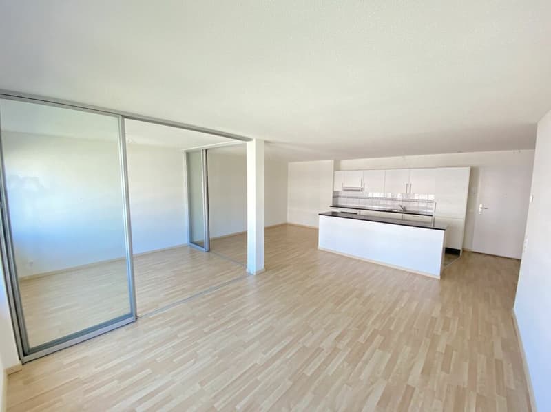 2.5 ZW Ettenfeld Nord - Zürich Seebach (3)