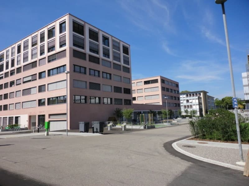 2.5 ZW Ettenfeld Nord - Zürich Seebach (7)
