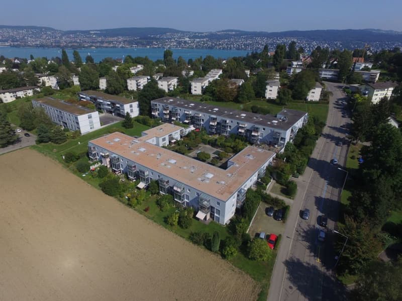 Wohnen in Wollishofen: frisch renovierte 5.5-Zimmerwohnung (1)