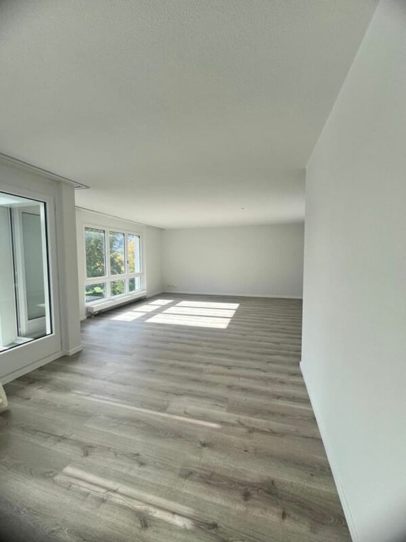 Wohnen in Wollishofen: frisch renovierte 5.5-Zimmerwohnung (2)