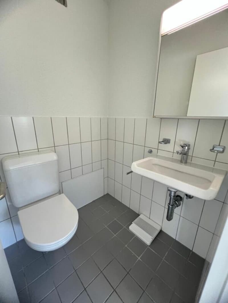 Wohnen in Wollishofen: frisch renovierte 5.5-Zimmerwohnung (12)
