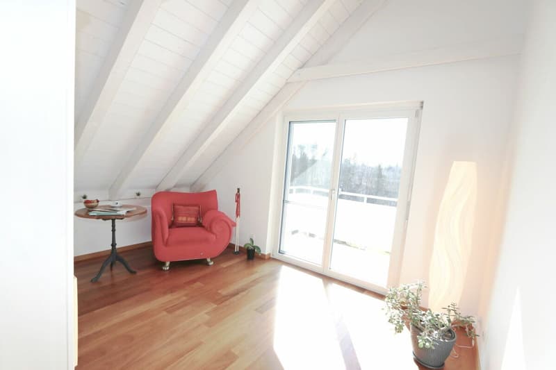 6.5-Zimmer Doppel-Einfamilienhaus (9)