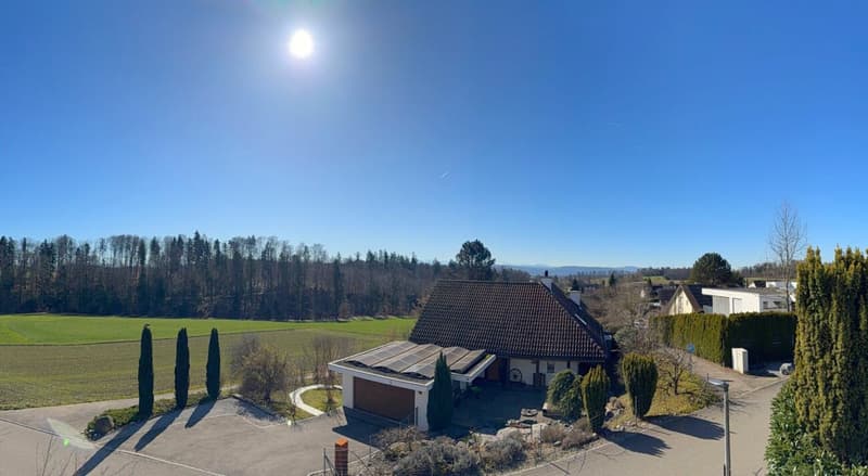 6.5-Zimmer Doppel-Einfamilienhaus (12)