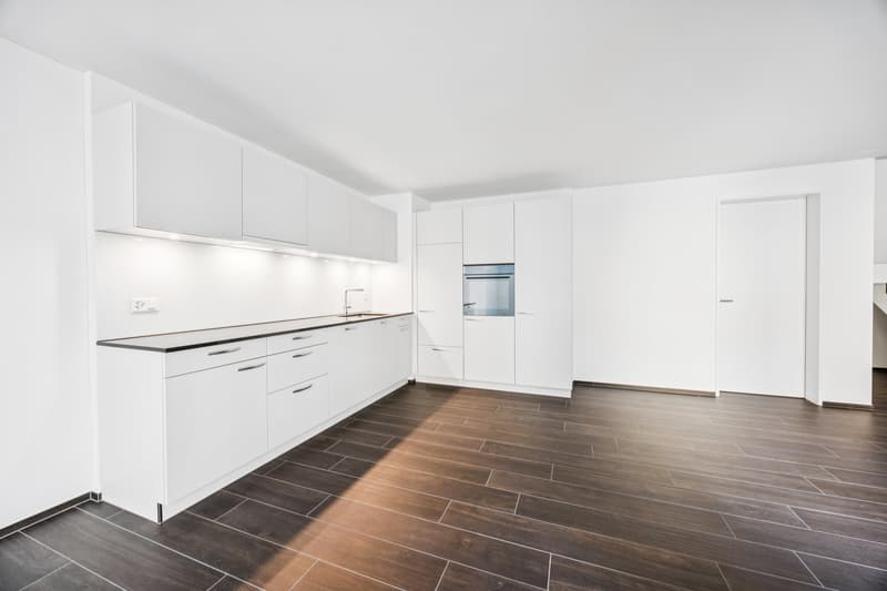 Prima locazione: Appartamento a livelli sfalsati moderno con charme a Zürich-Oerlikon (2)