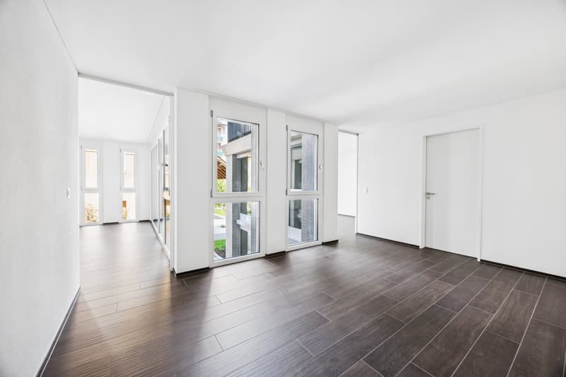 Prima locazione: Appartamento a livelli sfalsati moderno con charme a Zürich-Oerlikon (6)