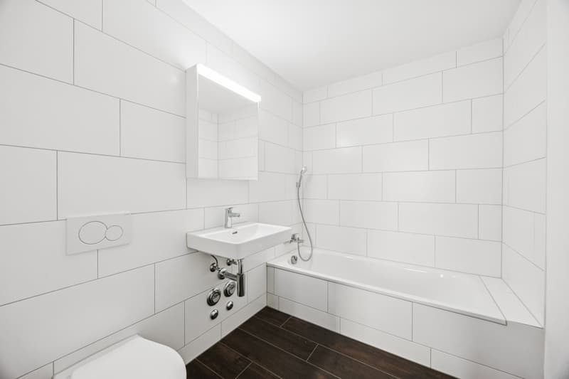 Prima locazione: Appartamento a livelli sfalsati moderno con charme a Zürich-Oerlikon (9)
