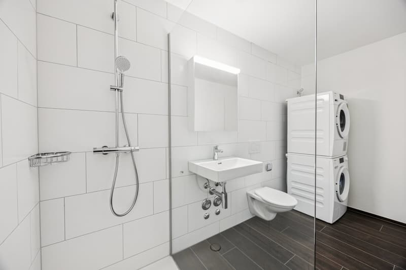 Prima locazione: Appartamento a livelli sfalsati moderno con charme a Zürich-Oerlikon (8)