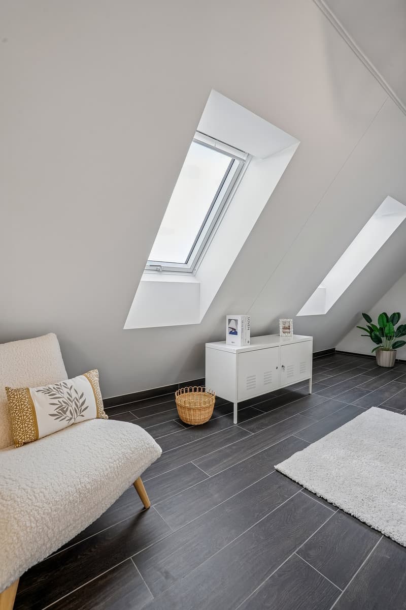 Cosy corner sofa with pillows, a basket, a cabinet, a carpet, a potted plant, and skylights